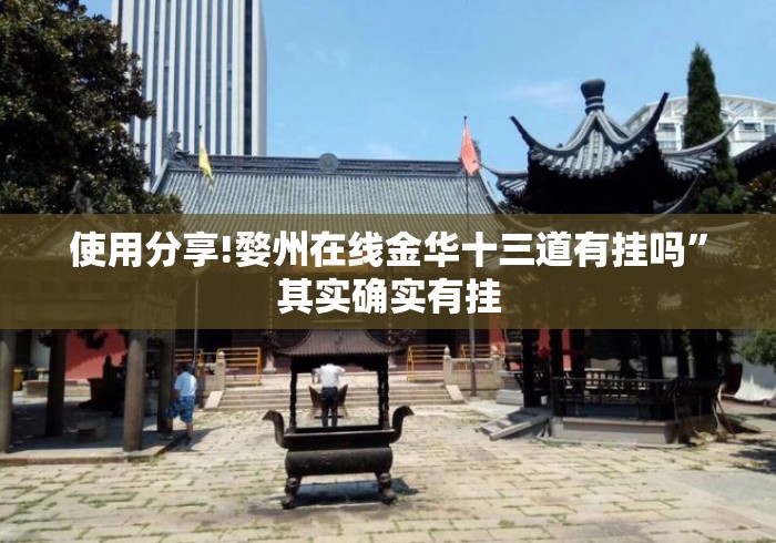 使用分享!婺州在线金华十三道有挂吗	”其实确实有挂