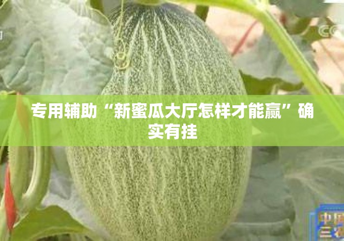 专用辅助“新蜜瓜大厅怎样才能赢	”确实有挂
