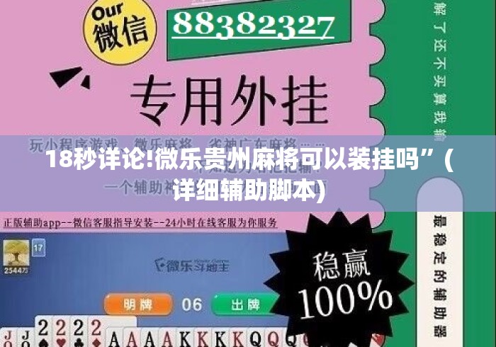 18秒详论!微乐贵州麻将可以装挂吗”(详细辅助脚本)