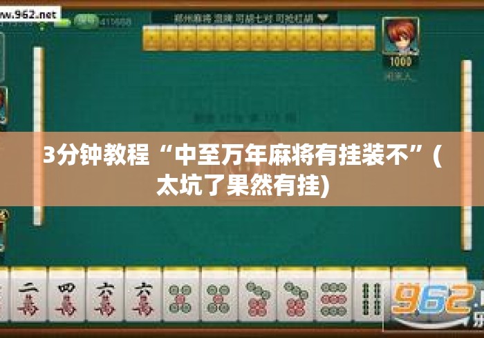 3分钟教程“中至万年麻将有挂装不”(太坑了果然有挂)