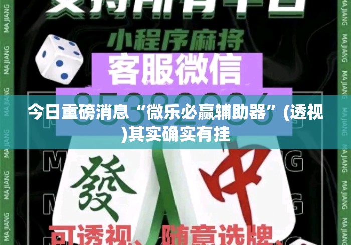 今日重磅消息“微乐必赢辅助器	”(透视)其实确实有挂