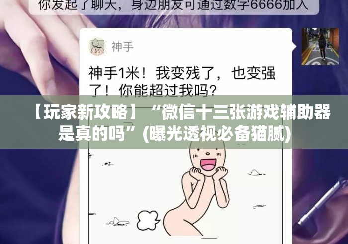 【玩家新攻略】“微信十三张游戏辅助器是真的吗”(曝光透视必备猫腻)