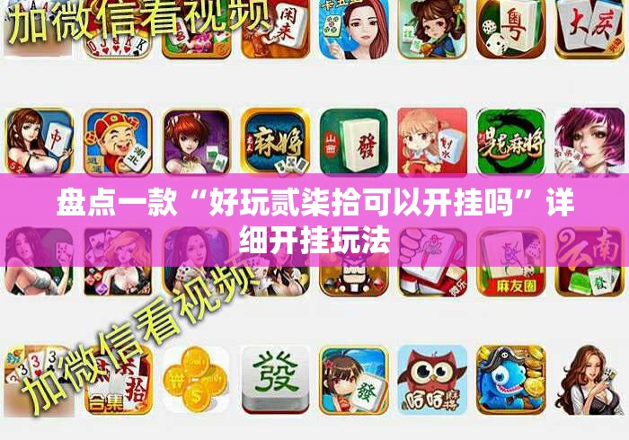 盘点一款“好玩贰柒拾可以开挂吗”详细开挂玩法