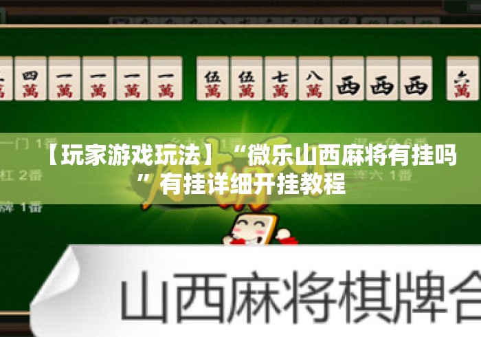【玩家游戏玩法】“微乐山西麻将有挂吗	”有挂详细开挂教程