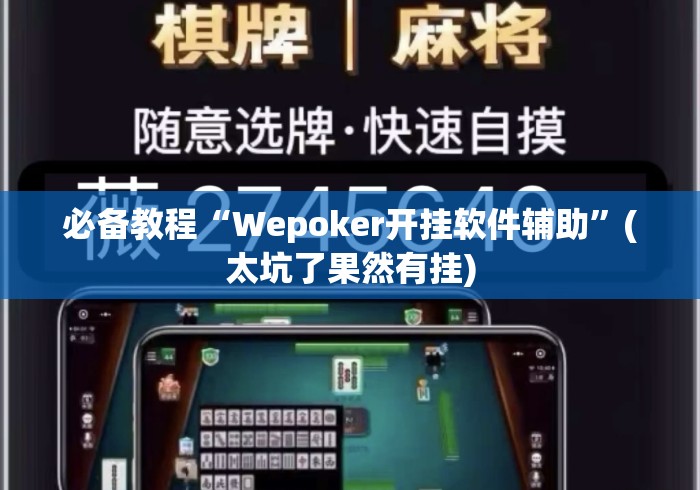 必备教程“Wepoker开挂软件辅助	”(太坑了果然有挂)