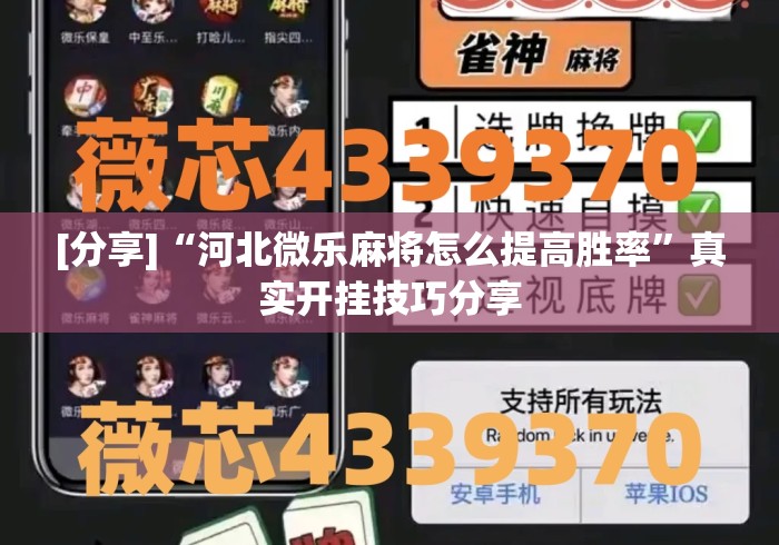 [分享]“河北微乐麻将怎么提高胜率	”真实开挂技巧分享