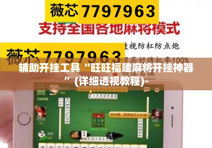 辅助开挂工具“旺旺福建麻将开挂神器”(详细透视教程)-