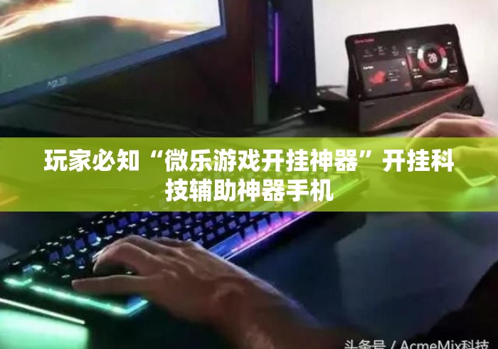 玩家必知“微乐游戏开挂神器”开挂科技辅助神器手机