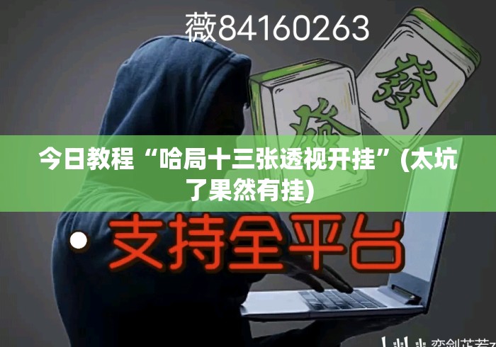 今日教程“哈局十三张透视开挂”(太坑了果然有挂)