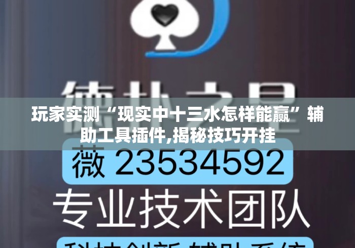 玩家实测“现实中十三水怎样能赢”辅助工具插件,揭秘技巧开挂