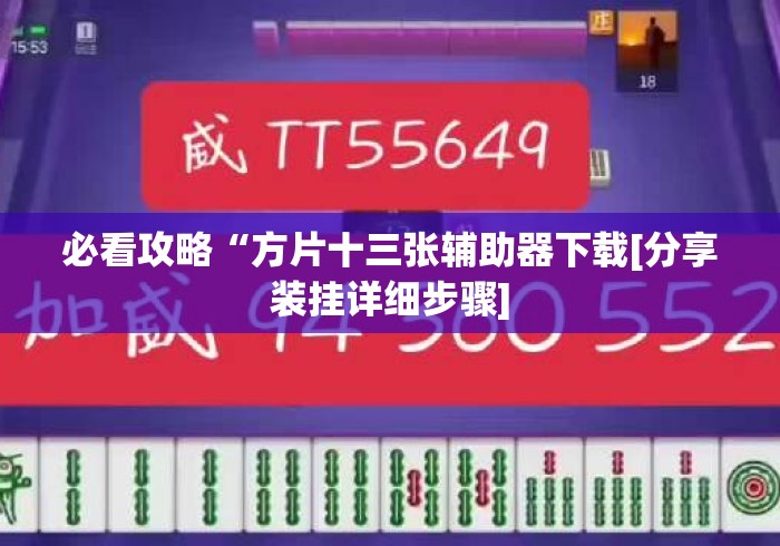 必看攻略“方片十三张辅助器下载[分享装挂详细步骤]