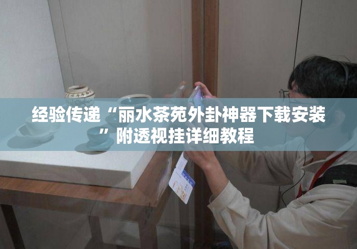 经验传递“丽水茶苑外卦神器下载安装”附透视挂详细教程 
