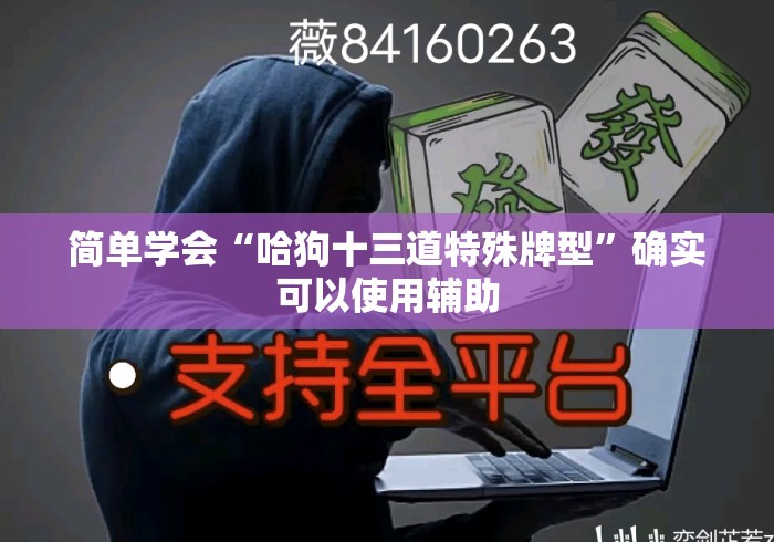 简单学会“哈狗十三道特殊牌型”确实可以使用辅助