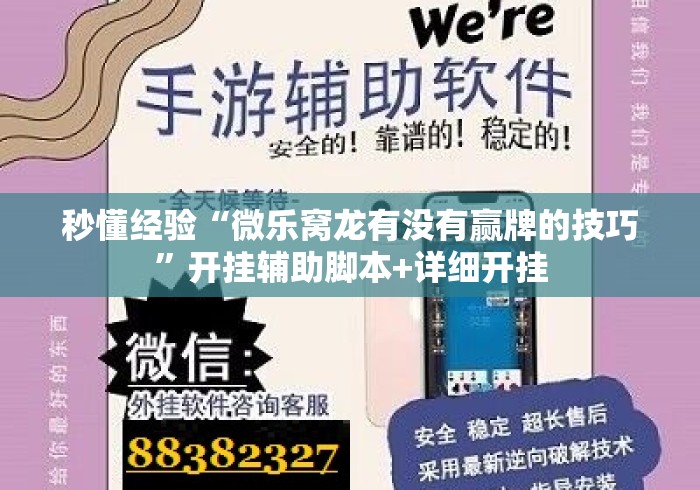 秒懂经验“微乐窝龙有没有赢牌的技巧”开挂辅助脚本+详细开挂