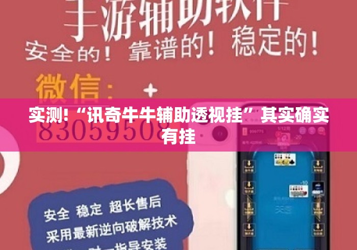 实测!“讯奇牛牛辅助透视挂”其实确实有挂