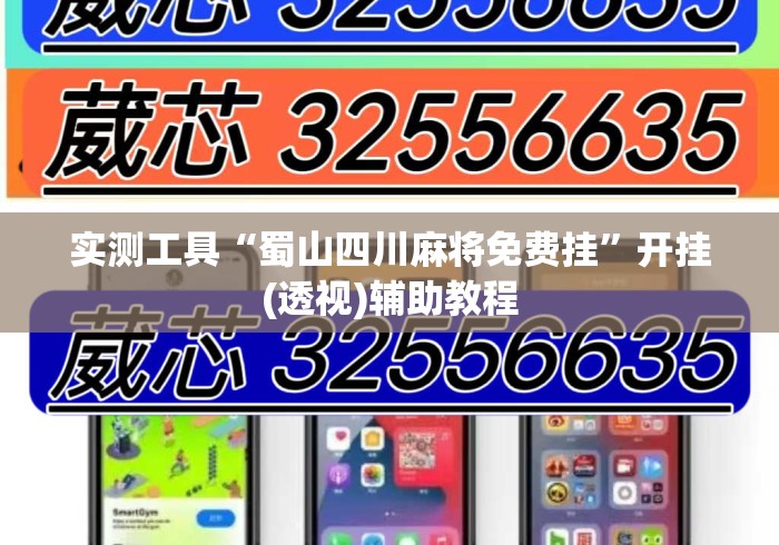 实测工具“蜀山四川麻将免费挂”开挂(透视)辅助教程