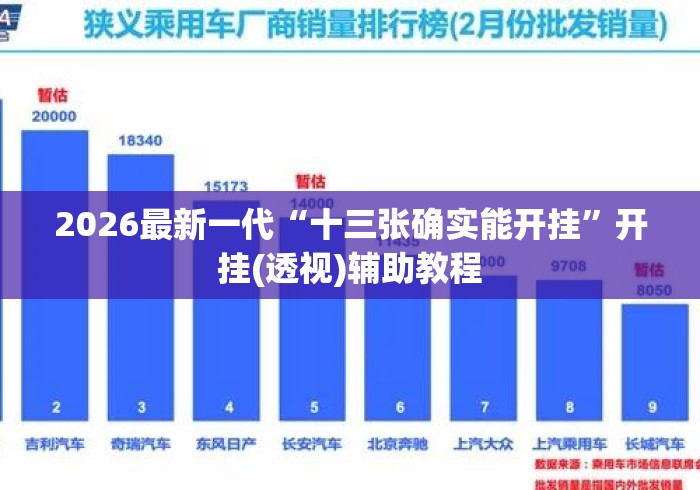 2026最新一代“十三张确实能开挂”开挂(透视)辅助教程