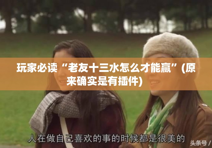 玩家必读“老友十三水怎么才能赢	”(原来确实是有插件) 
