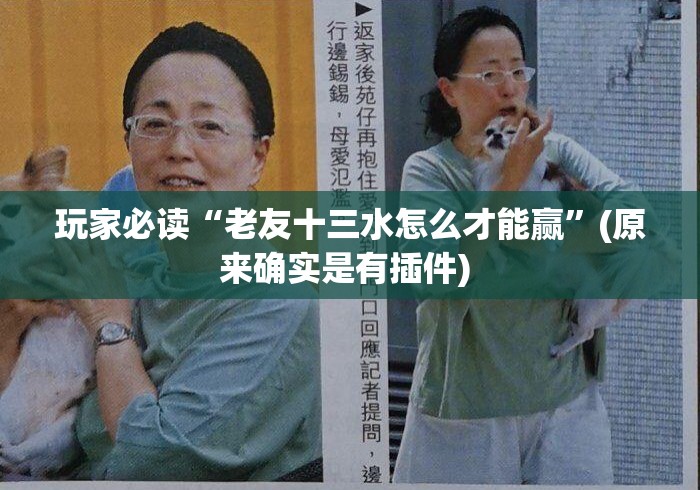 玩家必读“老友十三水怎么才能赢”(原来确实是有插件) 