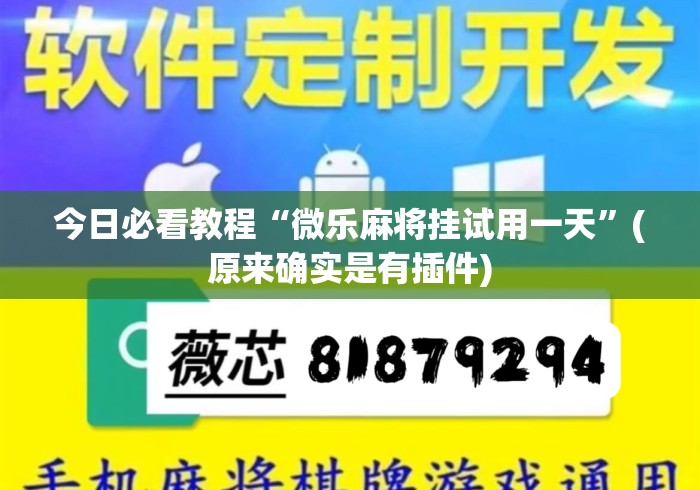 今日必看教程“微乐麻将挂试用一天	”(原来确实是有插件)
