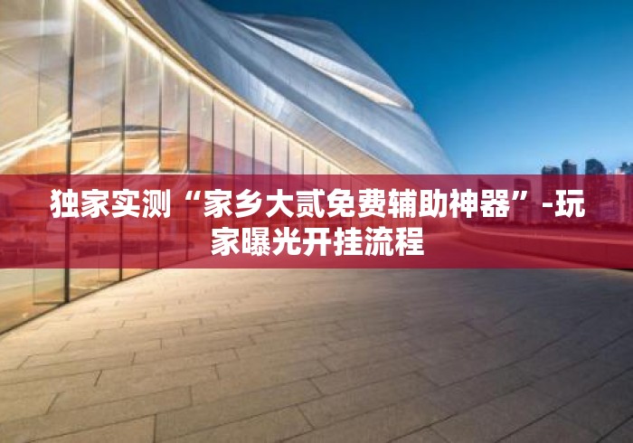 独家实测“家乡大贰免费辅助神器”-玩家曝光开挂流程