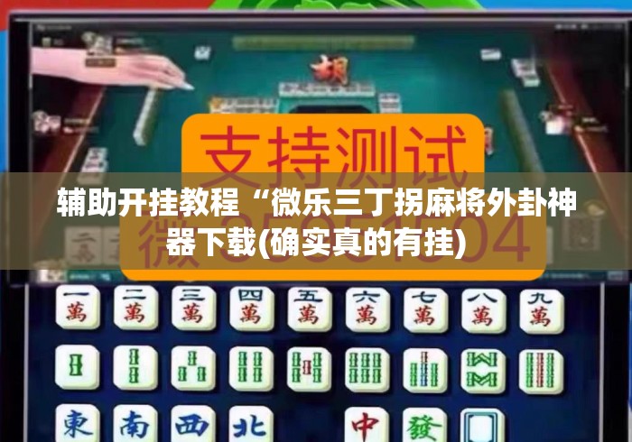 辅助开挂教程“微乐三丁拐麻将外卦神器下载(确实真的有挂)