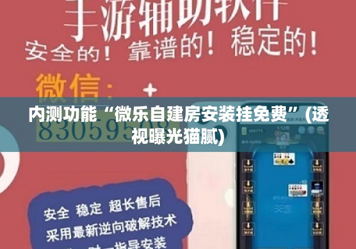 内测功能“微乐自建房安装挂免费”(透视曝光猫腻)