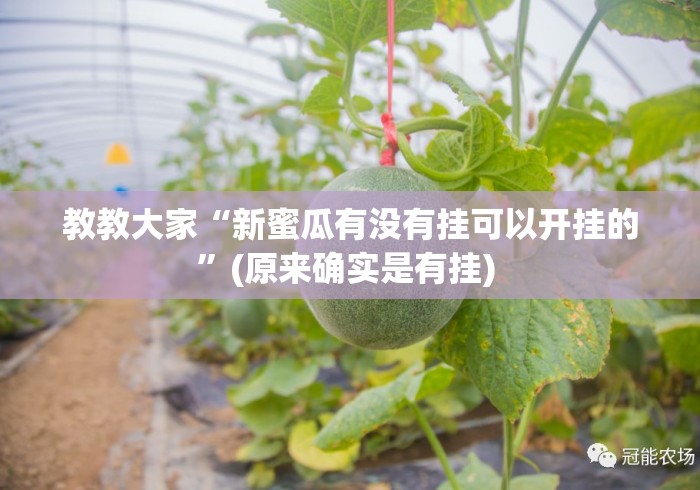 教教大家“新蜜瓜有没有挂可以开挂的	”(原来确实是有挂) 