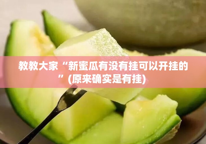 教教大家“新蜜瓜有没有挂可以开挂的”(原来确实是有挂) 