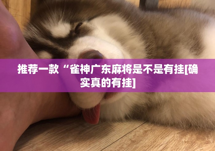 推荐一款“雀神广东麻将是不是有挂[确实真的有挂]