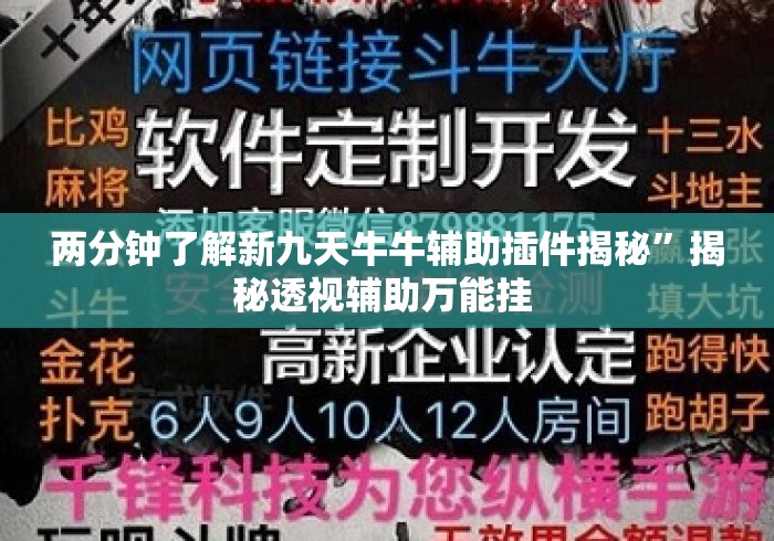 两分钟了解新九天牛牛辅助插件揭秘	”揭秘透视辅助万能挂 