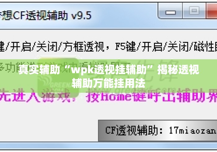 真实辅助“wpk透视挂辅助”揭秘透视辅助万能挂用法