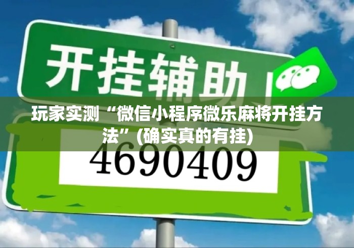 玩家实测“微信小程序微乐麻将开挂方法	”(确实真的有挂)