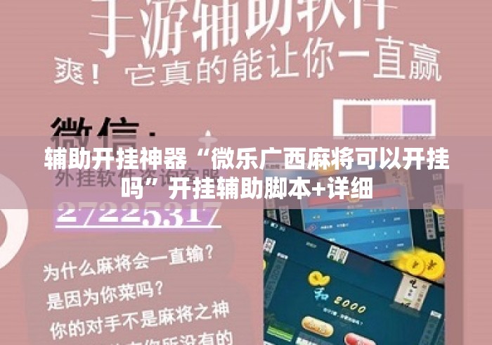 辅助开挂神器“微乐广西麻将可以开挂吗”开挂辅助脚本+详细