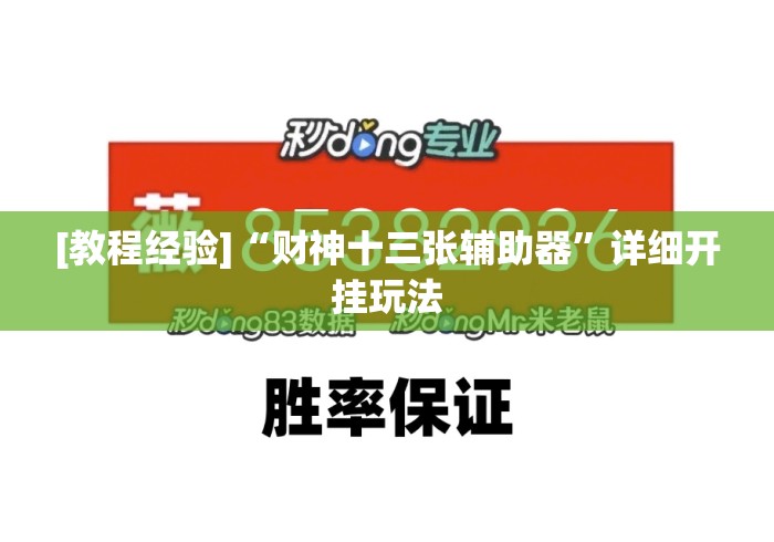 [教程经验]“财神十三张辅助器	”详细开挂玩法