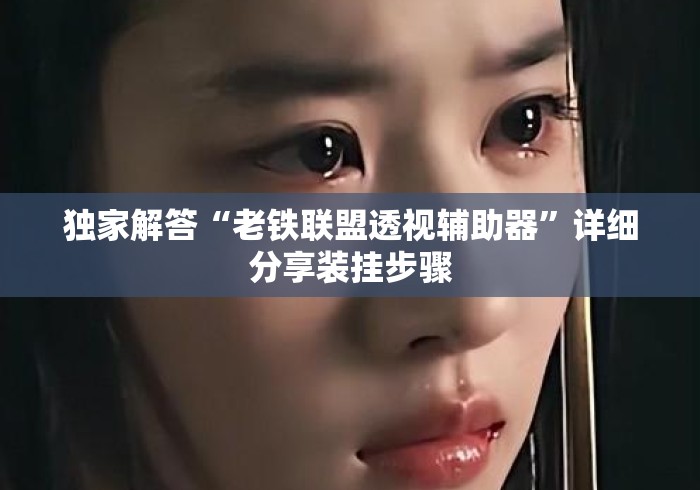独家解答“老铁联盟透视辅助器”详细分享装挂步骤