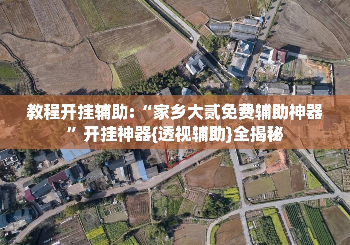 教程开挂辅助:“家乡大贰免费辅助神器”开挂神器{透视辅助}全揭秘