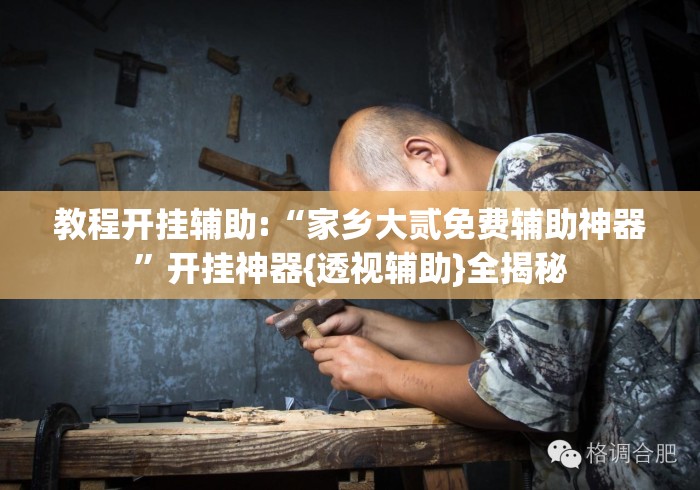 教程开挂辅助:“家乡大贰免费辅助神器	”开挂神器{透视辅助}全揭秘